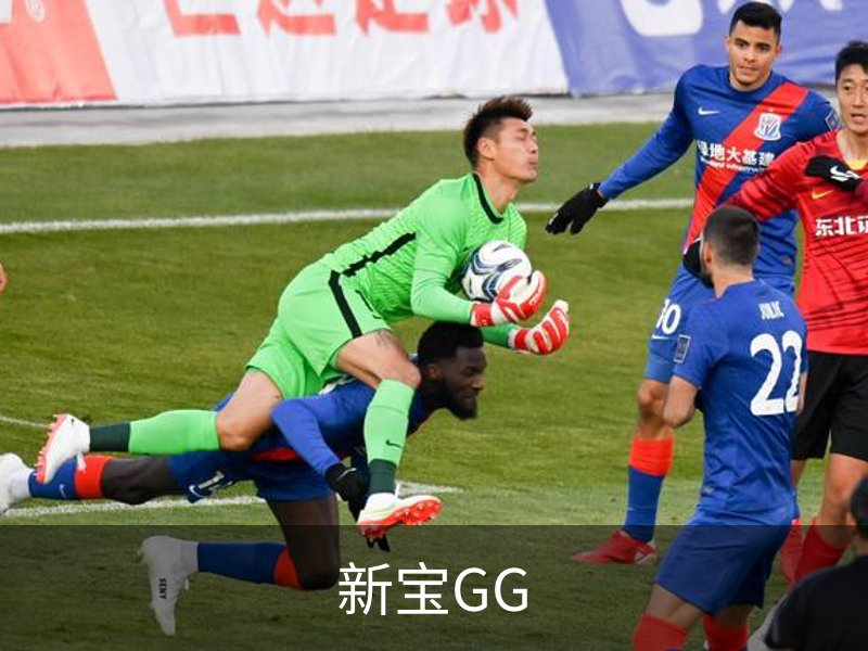新宝GG简介